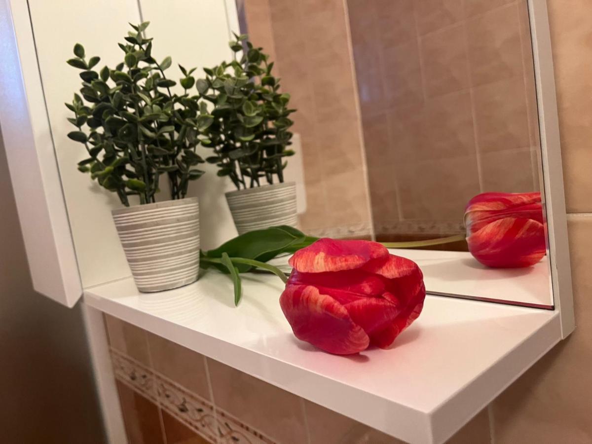 Apartment Lala سومبور المظهر الخارجي الصورة