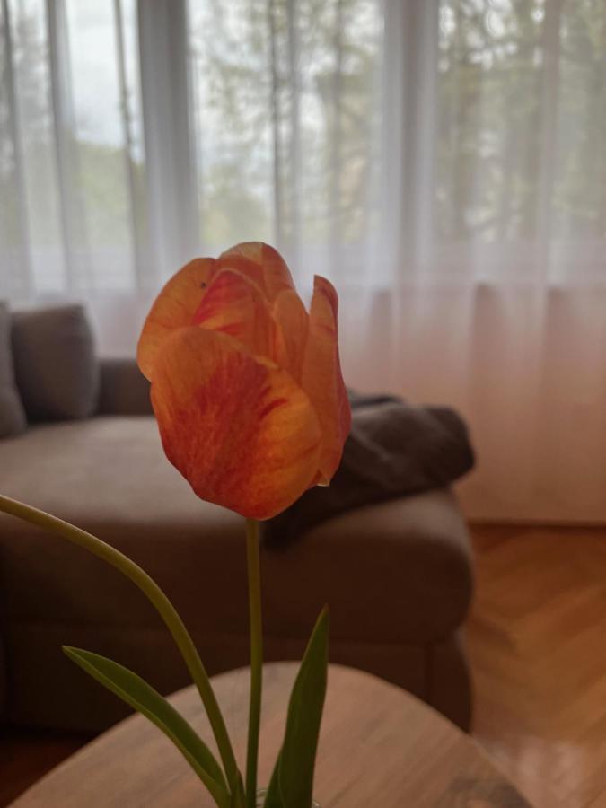 Apartment Lala سومبور المظهر الخارجي الصورة